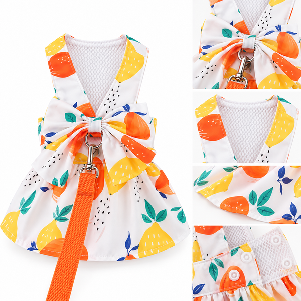 Pet Harness Floral Dress with Matching Leash