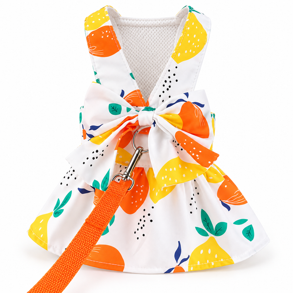 Pet Harness Floral Dress with Matching Leash