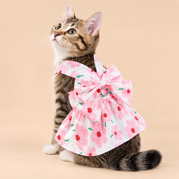 Pet Harness Floral Dress with Matching Leash