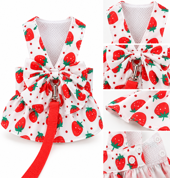 Pet Harness Floral Dress with Matching Leash
