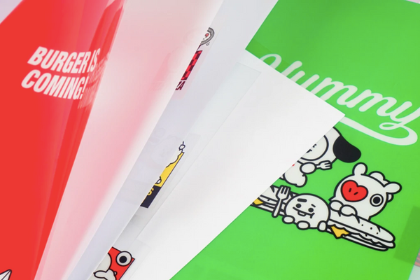 BTS BT21 Index File Folder K-Pop Stationery Line Friends (1 file)
